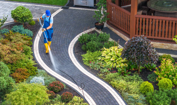Best Roof Pressure Washing  in Rangely, CO