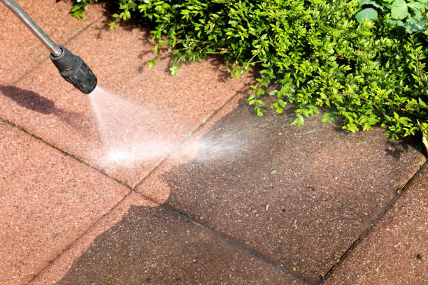 Best Exterior Home Cleaning  in Rangely, CO
